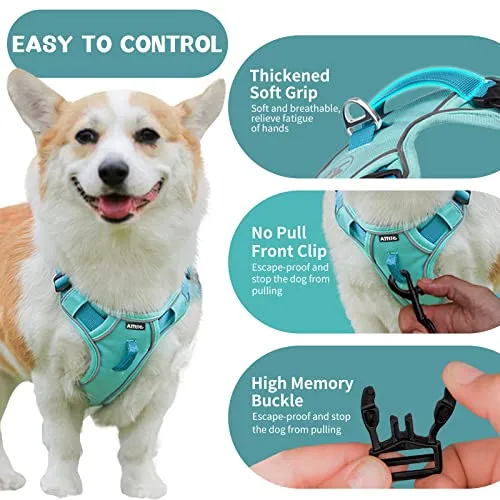 AIITLE Durable Dog Vest Harness, No Pull Pet Harness with Safety Memory Buckle, Adjustable Breathable Dog Harness, Reflective Outdoor Pet Vest for Extra Small Dogs Blue XXS