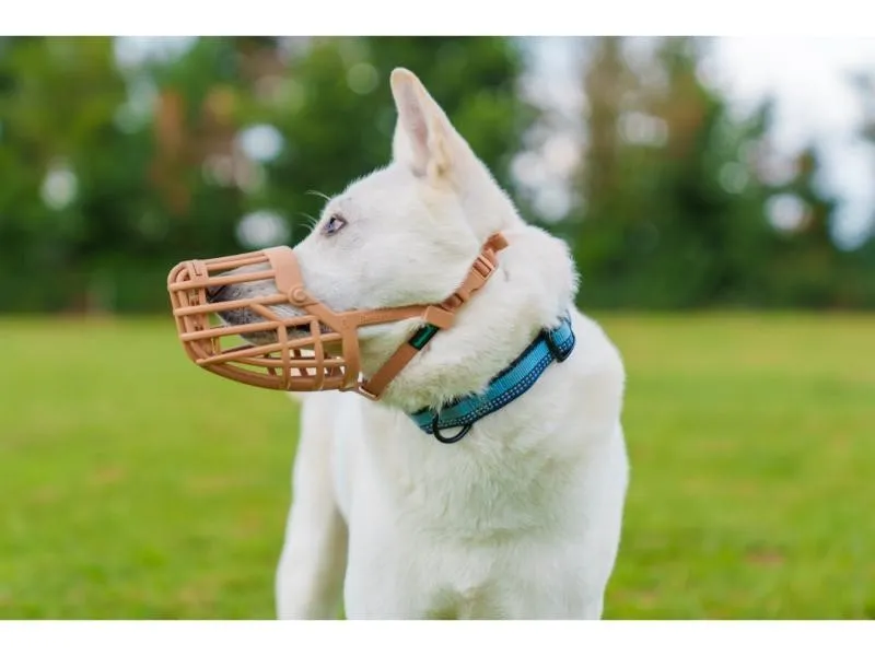 Baskerville Classic Basket Muzzle Size 10