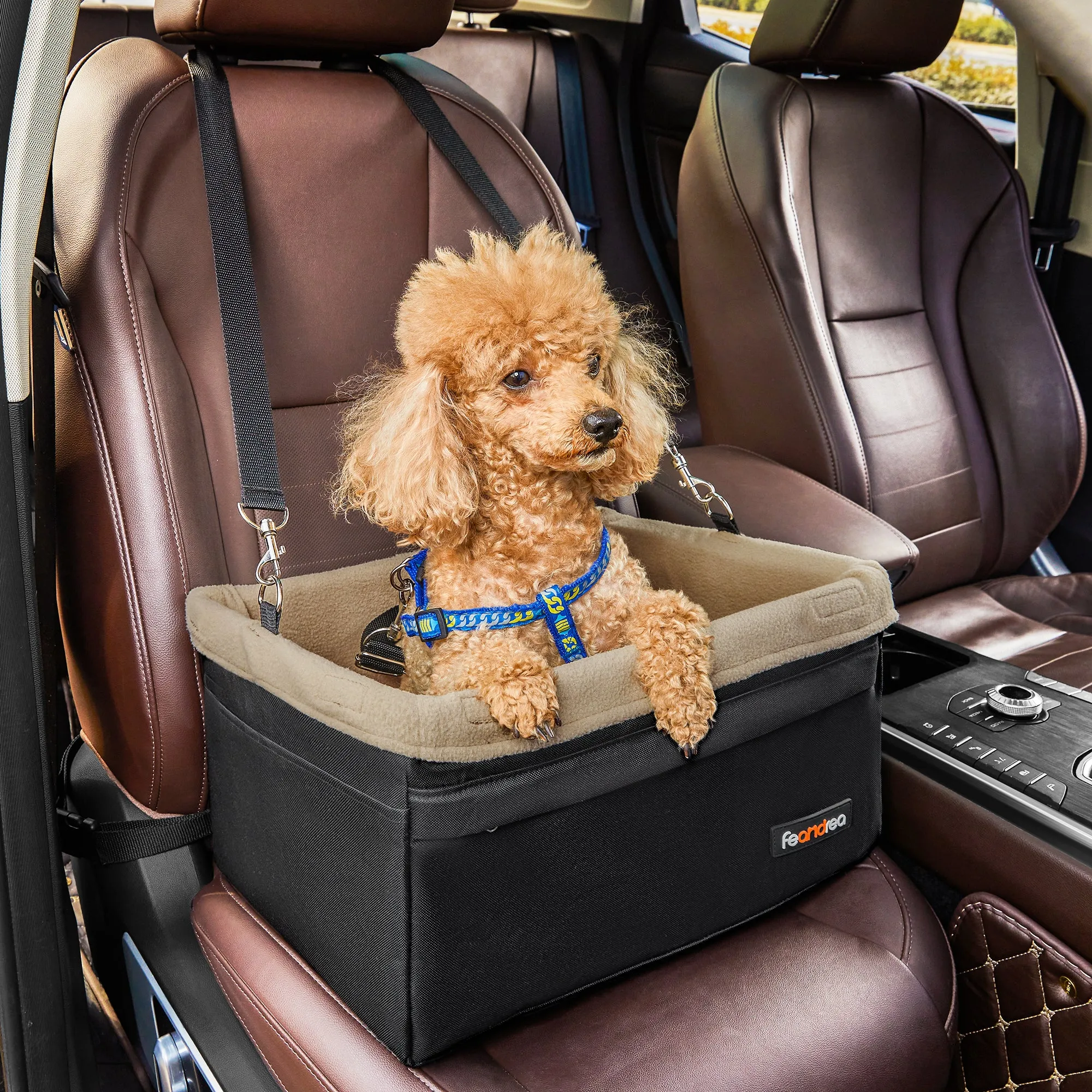 Dog Car Seat