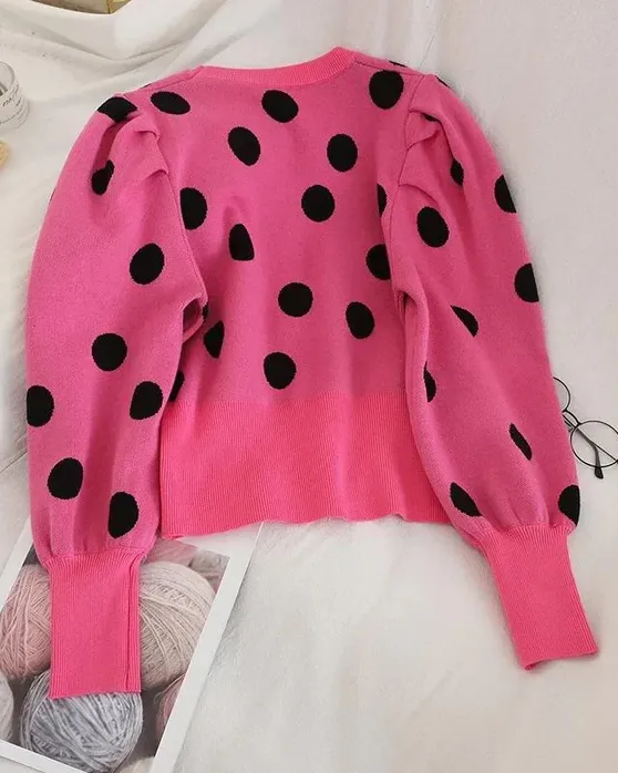 Pankh Merta Polka Blouse