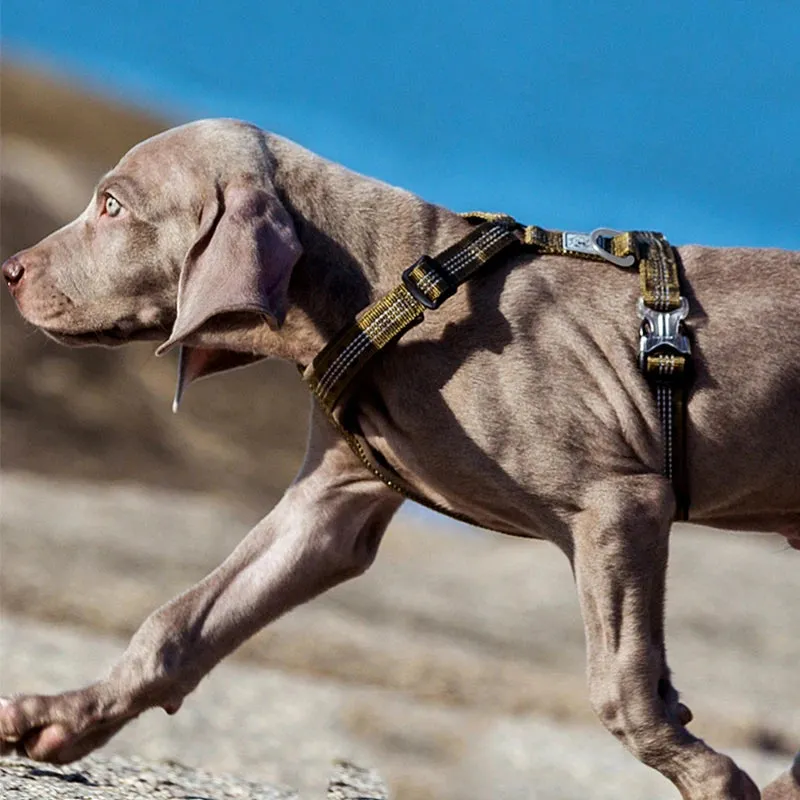 TRUELOVE Adjustable Pet Harness - Comfortable, Reflective Vest for Dogs and Cats