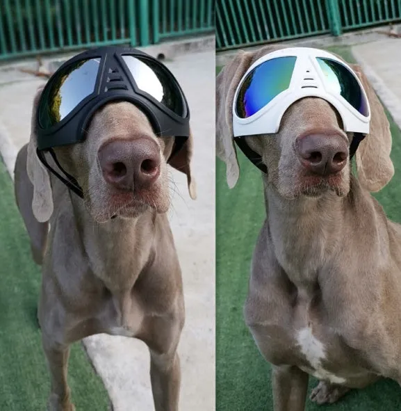 Waterproof Dog Glasses