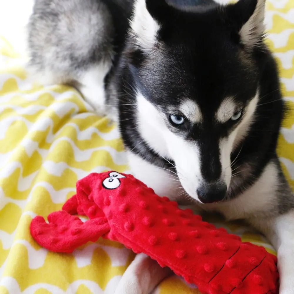 ZippyPaws Deluxe Bottle Crusherz Lobster Dog Toy